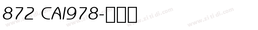 872 CAI978字体转换
